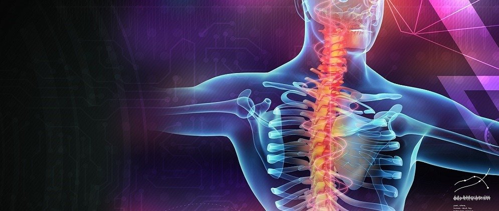 Anatomy and Physiology Training Program